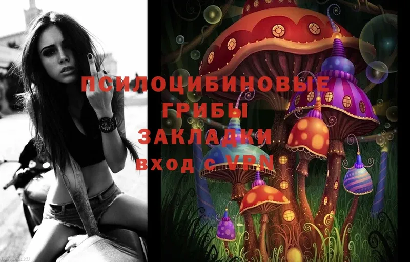 MEGA ONION  Уяр  Галлюциногенные грибы Magic Shrooms 